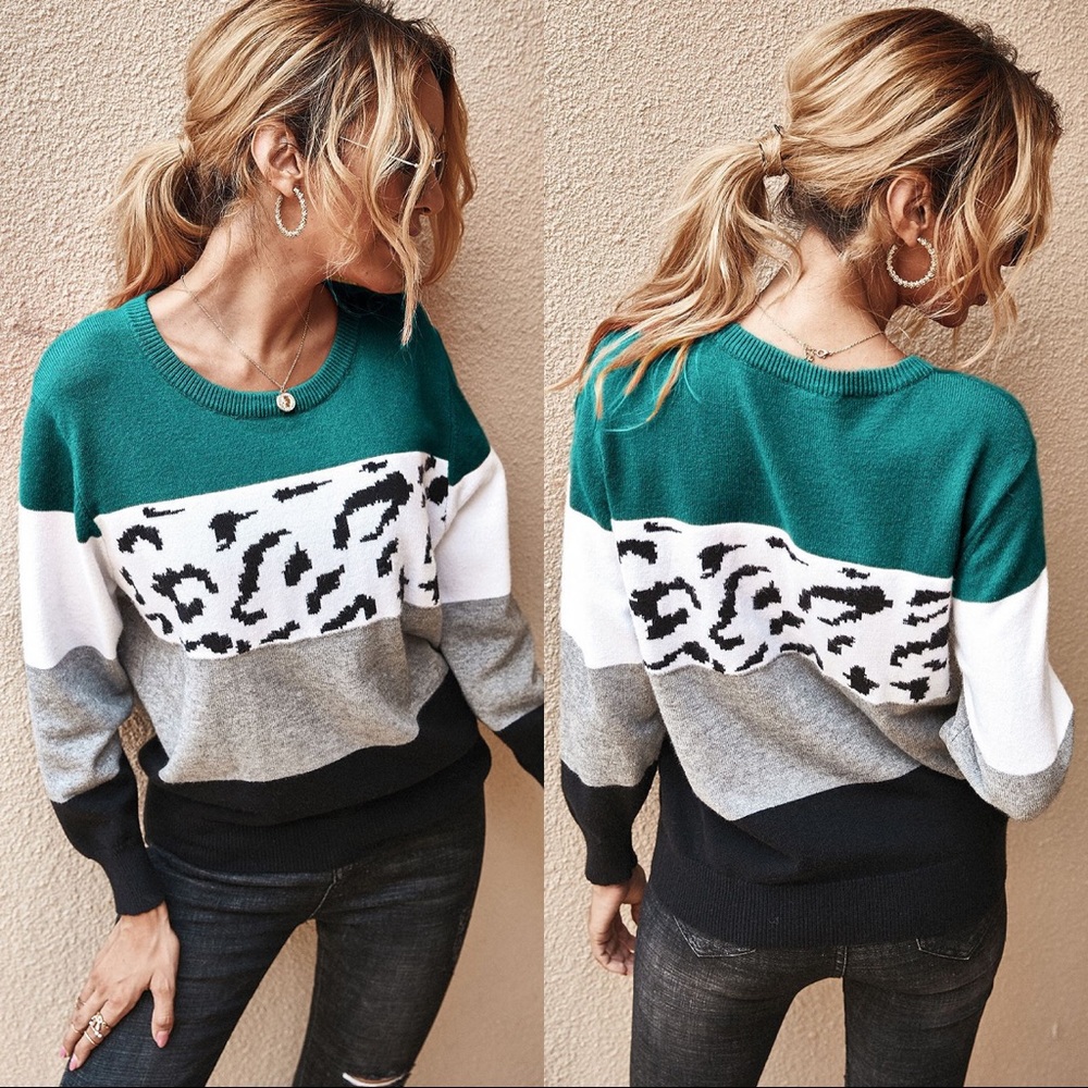 🆕 Leopard Wide Stripes Sweater Teal